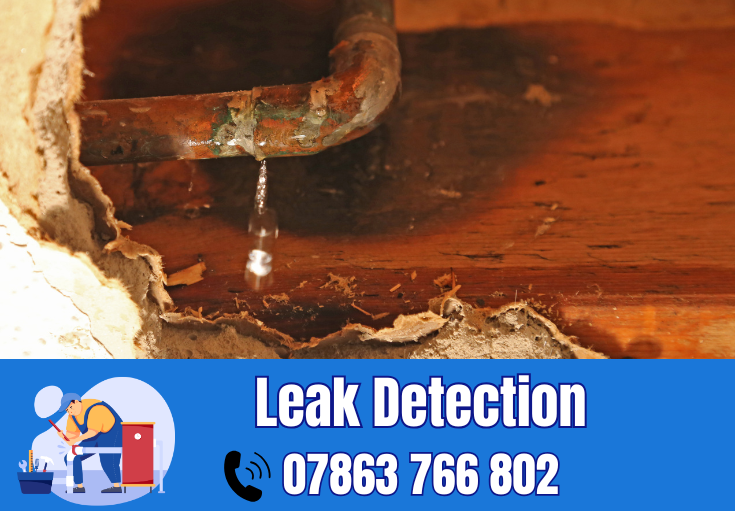 leak detection Grappenhall
