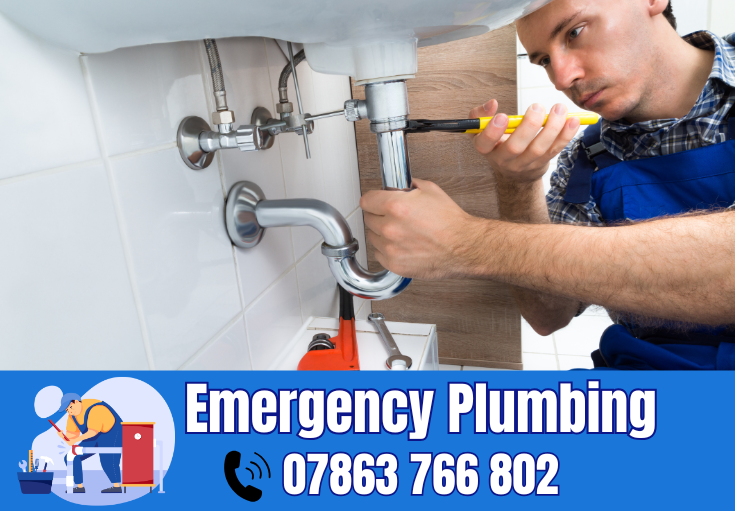  plumber Thelwall